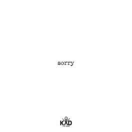Album cover of Sorry