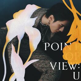 Album cover of Point Of View: U