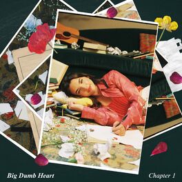 Album cover of Big Dumb Heart, Chapter 1