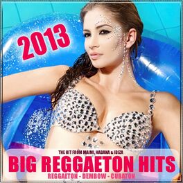 Album cover of Big Reggaeton Hits 2013