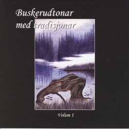 Album cover of Buskerudtonar Med Tradisjonar, Vol, 1