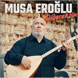 Album cover of Gideceksin