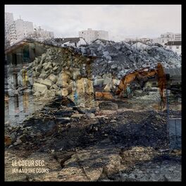 Album cover of Le cœur sec