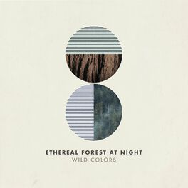 Album cover of Ethereal Forest at Night