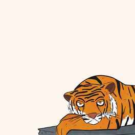 Album cover of Tiger Park