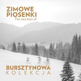 Album cover of Zimowe Piosenki (Bursztynowa Kolekcja)