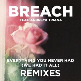Album cover of Everything You Never Had (We Had It All) (feat. Andreya Triana) (Remix Package)