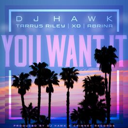 Album cover of You Want It (feat. Tarrus Riley, DJ X.O. & Abrina)