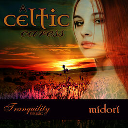 Album cover of A Celtic Caress