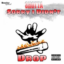 Album cover of Sorry I Didn't Drop