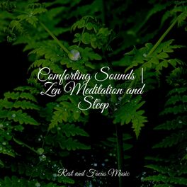 Album cover of Comforting Sounds | Zen Meditation and Sleep