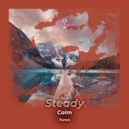 Album cover of zZz Steady Calm Tunes zZz