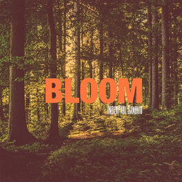 Album picture of Bloom