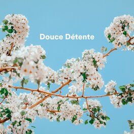 Album cover of Douce détente