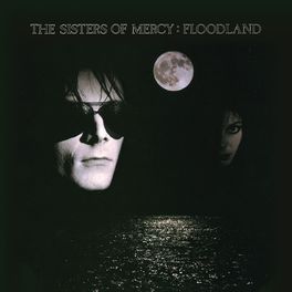 Album cover of Floodland