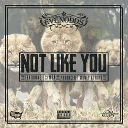 Album cover of Not Like You