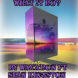 Album cover of What it do?