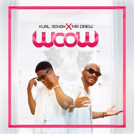 Album cover of Wow