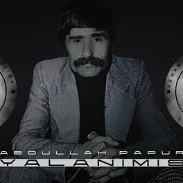 Album cover of Yalanimiş (feat. Abdullah Papur)