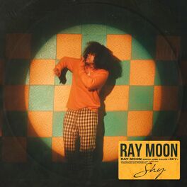 Album cover of Shy