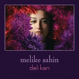 Album cover of Deli Kan