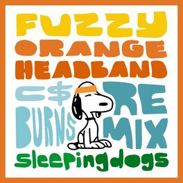 Album cover of Fuzzy Orange Headband (feat. andrew, Jesse the Tree & C Money Burns) [C$Burns Remix]