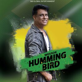 Album cover of Humming Bird
