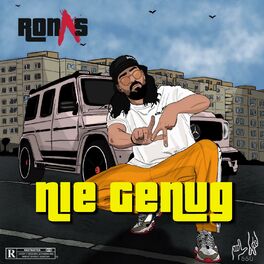 Album cover of Nie genug