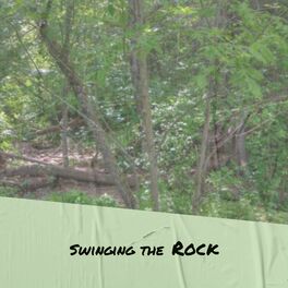 Album cover of Swinging the Rock
