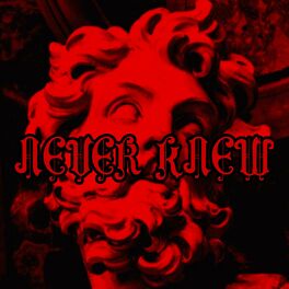 Album cover of Never Knew