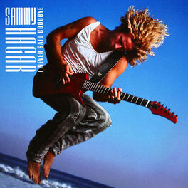 Album cover of I Never Said Goodbye