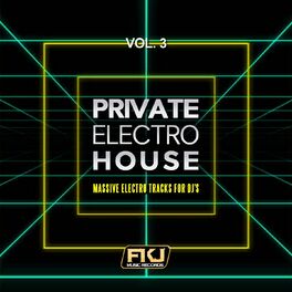 Album cover of Private Electro House, Vol. 3 (Massive Electro Tracks for DJ's)