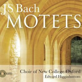 Album cover of Bach: Motets