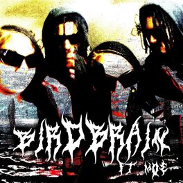 Album cover of Bird Brain (feat. Moe)
