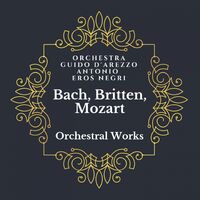 Orchestra Guido D Arezzo albums songs playlists Listen on Deezer