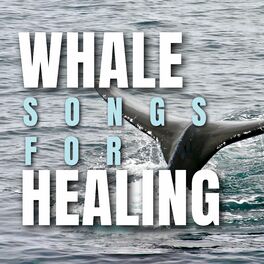 Album cover of Whale songs for Healing