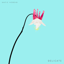 Album cover of Delicate