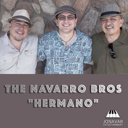 Album cover of Hermano (feat. Joey, Art & David Navarro)