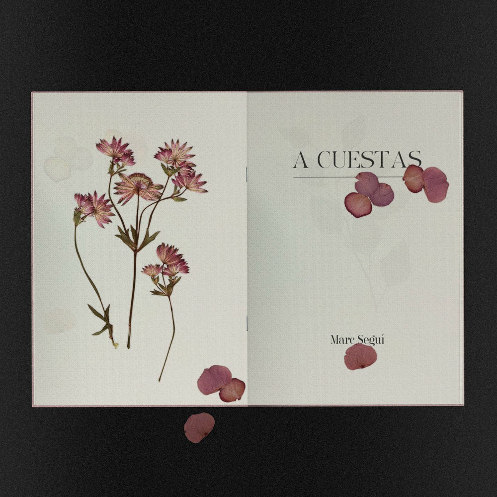 Marc segui no queda. Marc segui no queda. Marc segui no queda. Marc seguí певец биография. Marc vallйe trio - hamadryade.