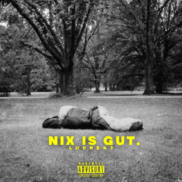 Album cover of Nix is gut EP