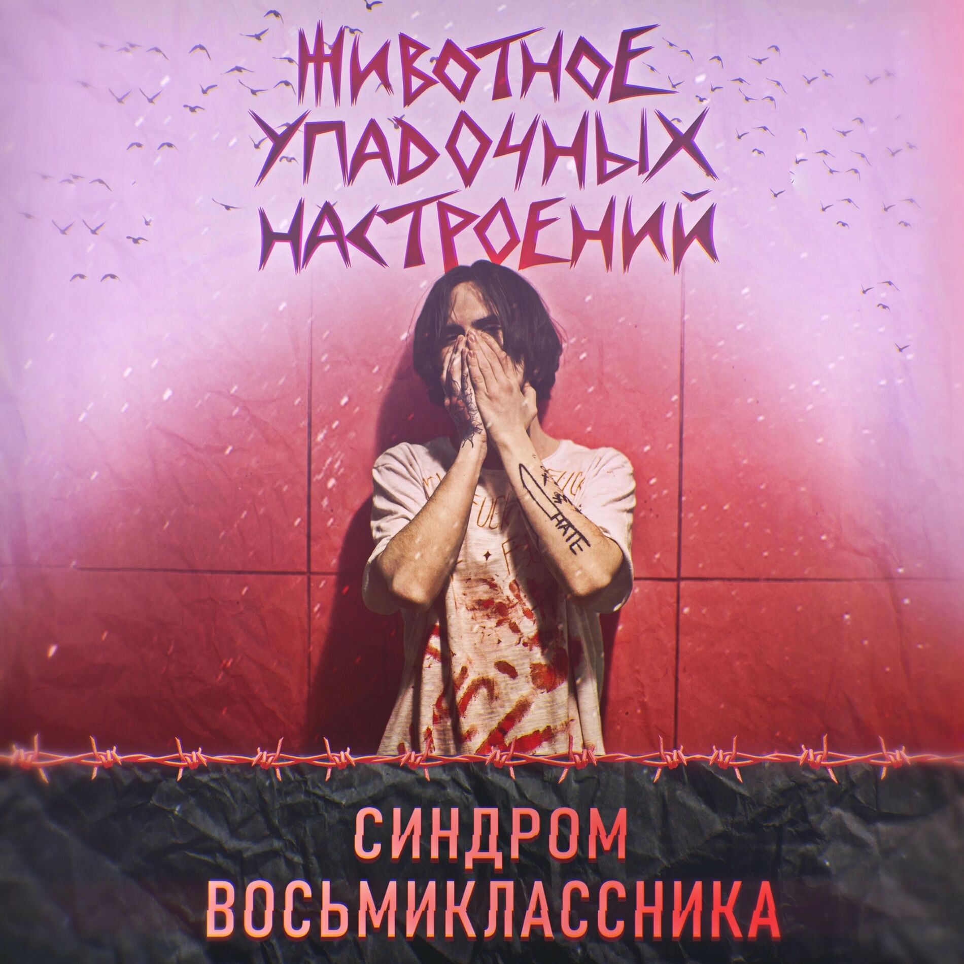 Все песни Синдром Восьмиклассника