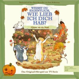 Album cover of Fliegen wie ein Vogel (Das Original-Hörspiel zur TV-Serie)