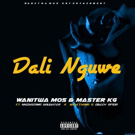 Album cover of Dali Nguwe