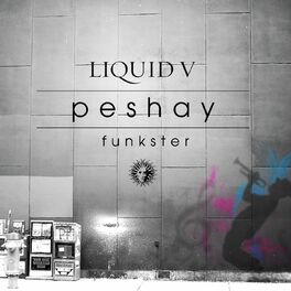 Album cover of Funkster
