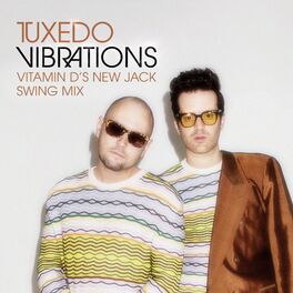 Album cover of Vibrations (Vitamin D's New Jack Swing Remix)