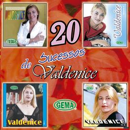 Album cover of 20 Sucessos de Valdenice Ao Vivo