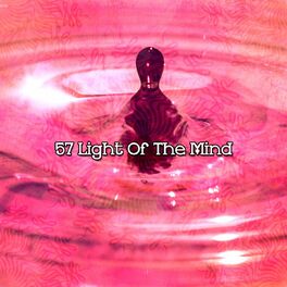 Album cover of 57 Light Of The Mind