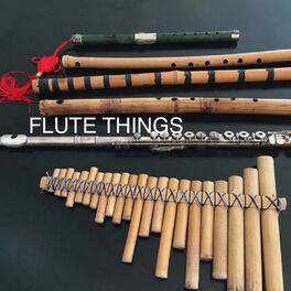 Album cover of Flute Things