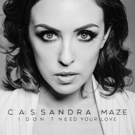 Album cover of I Don't Need Your Love