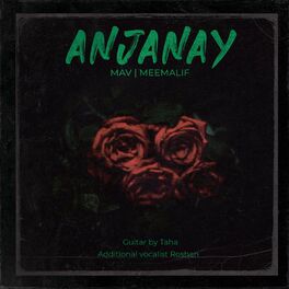 Album cover of Anjanay (feat. Meemalif, Roshan & Taha)